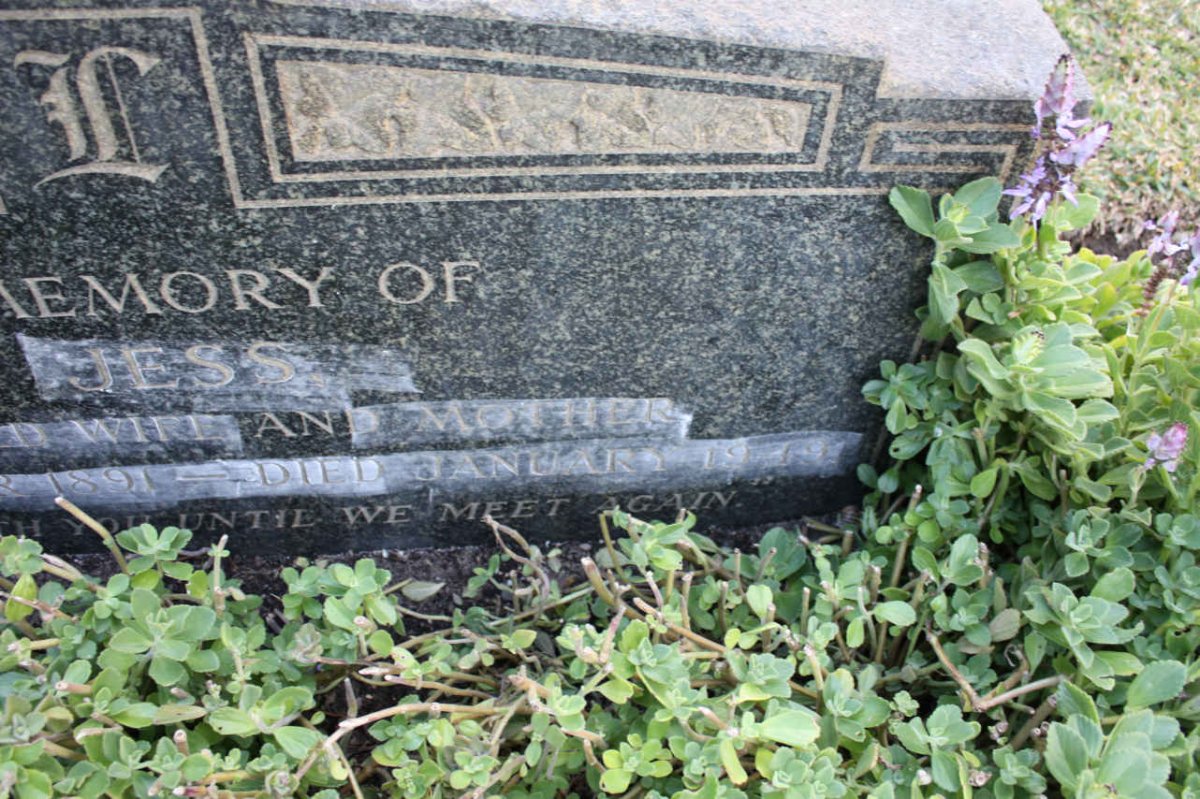 ? Jess 1891-1949