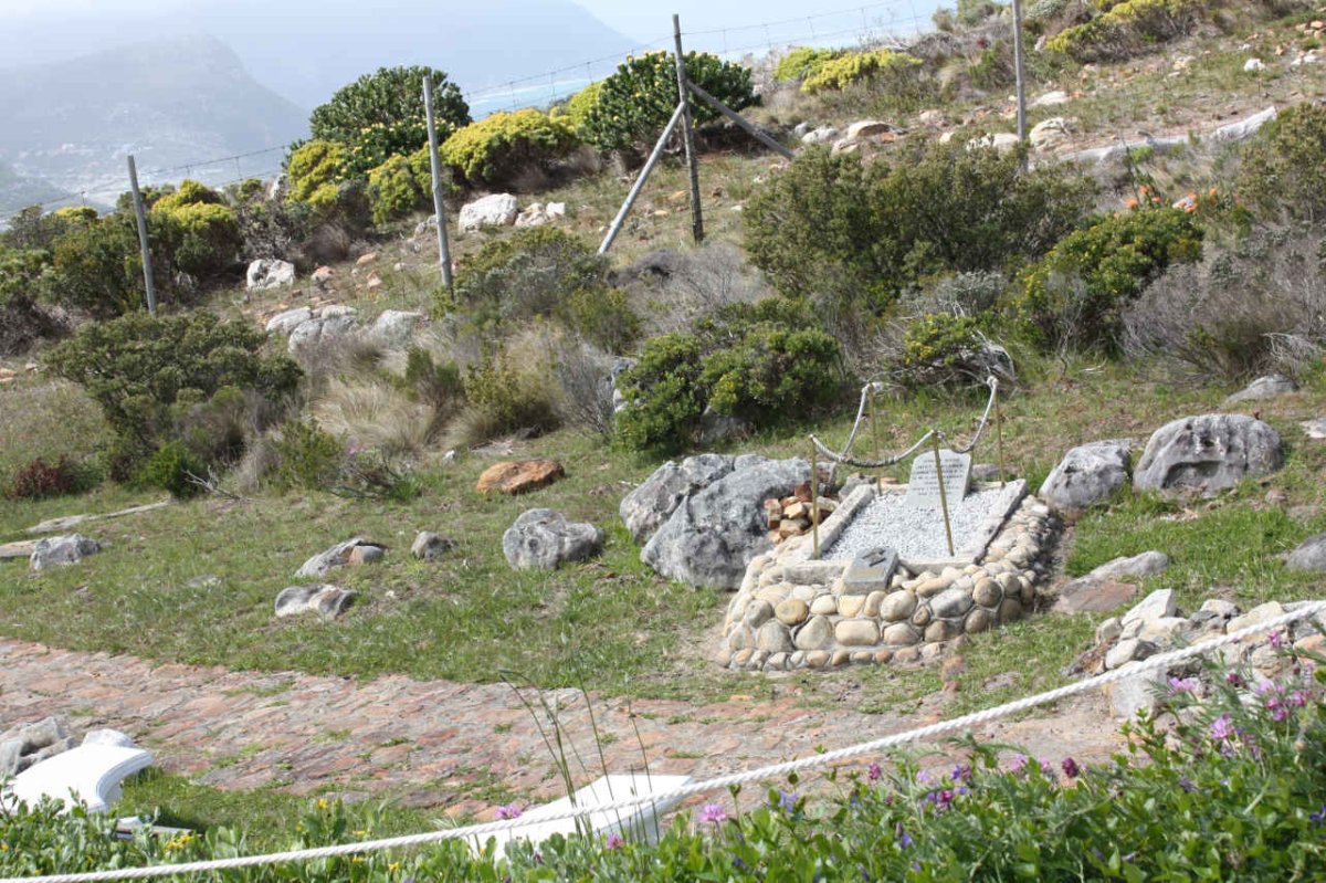 3. Overview
