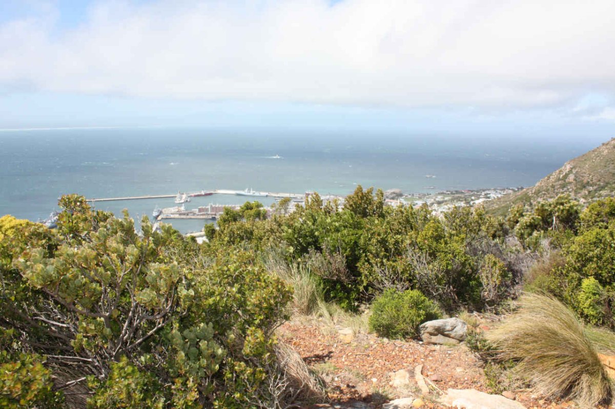 1. Overview