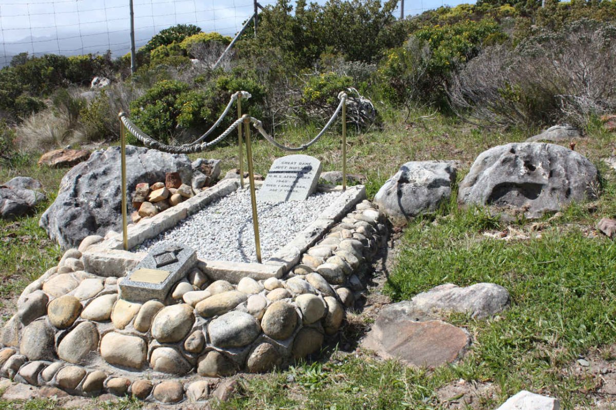 5. Overview