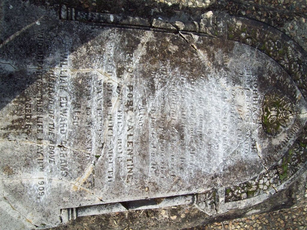 ABRAMS William Edward -1909 &amp; Sophia S. -18?? :: ABRAMS Frederik Robert Valentine -188?