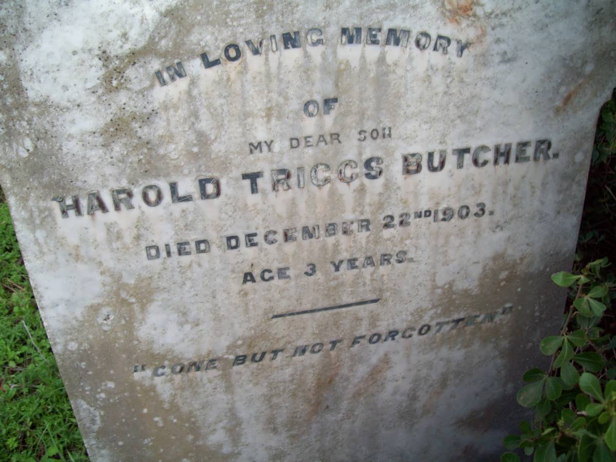 BUTCHER Harold Triggs -1903