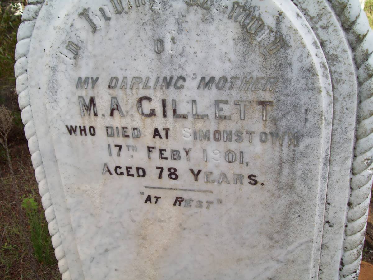 GILLETT M.A. -1901