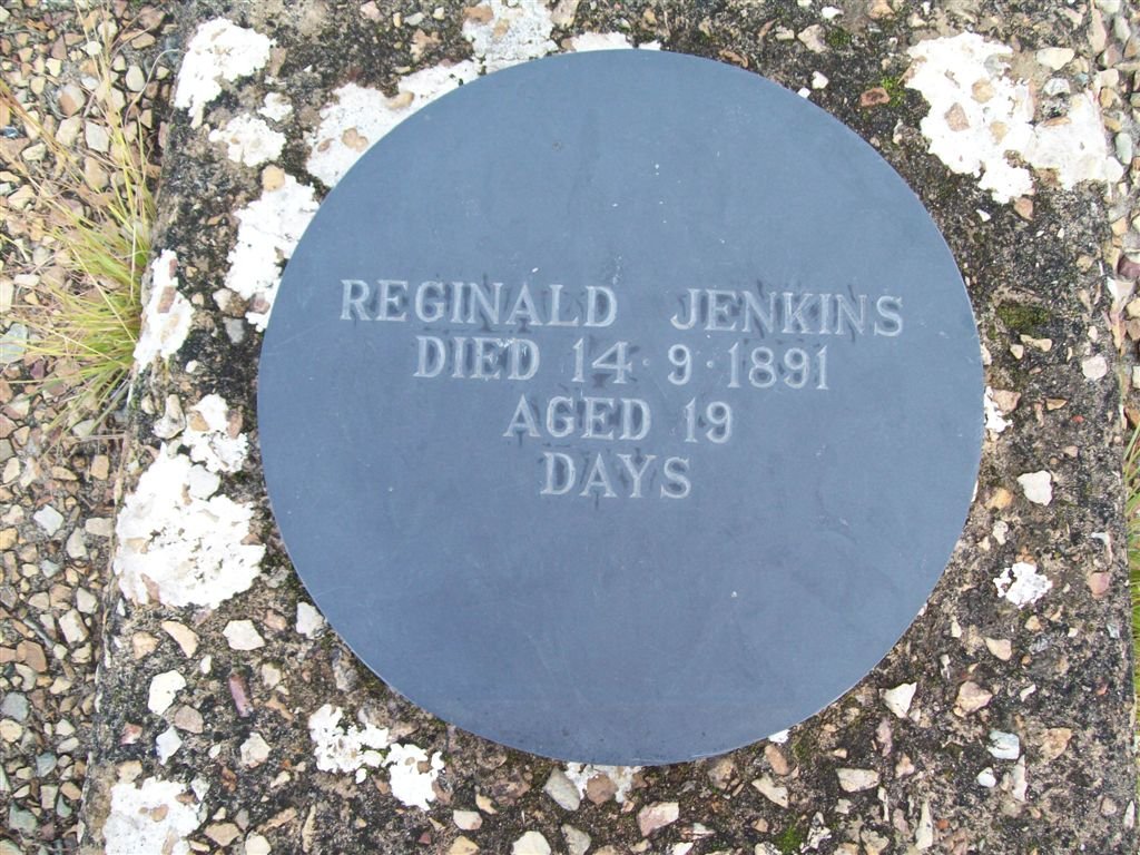 JENKINS Reginald -1891