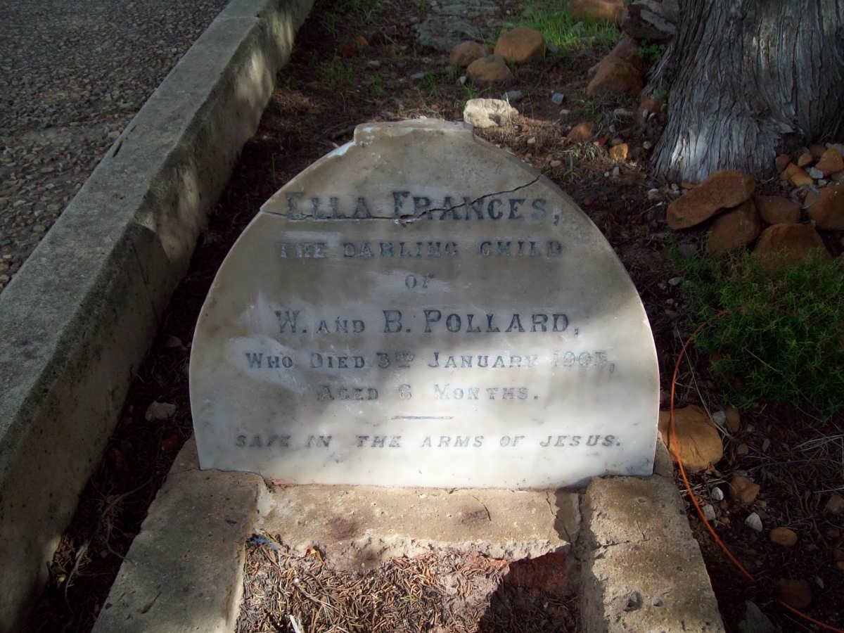 POLLARD Ella Francis -1905