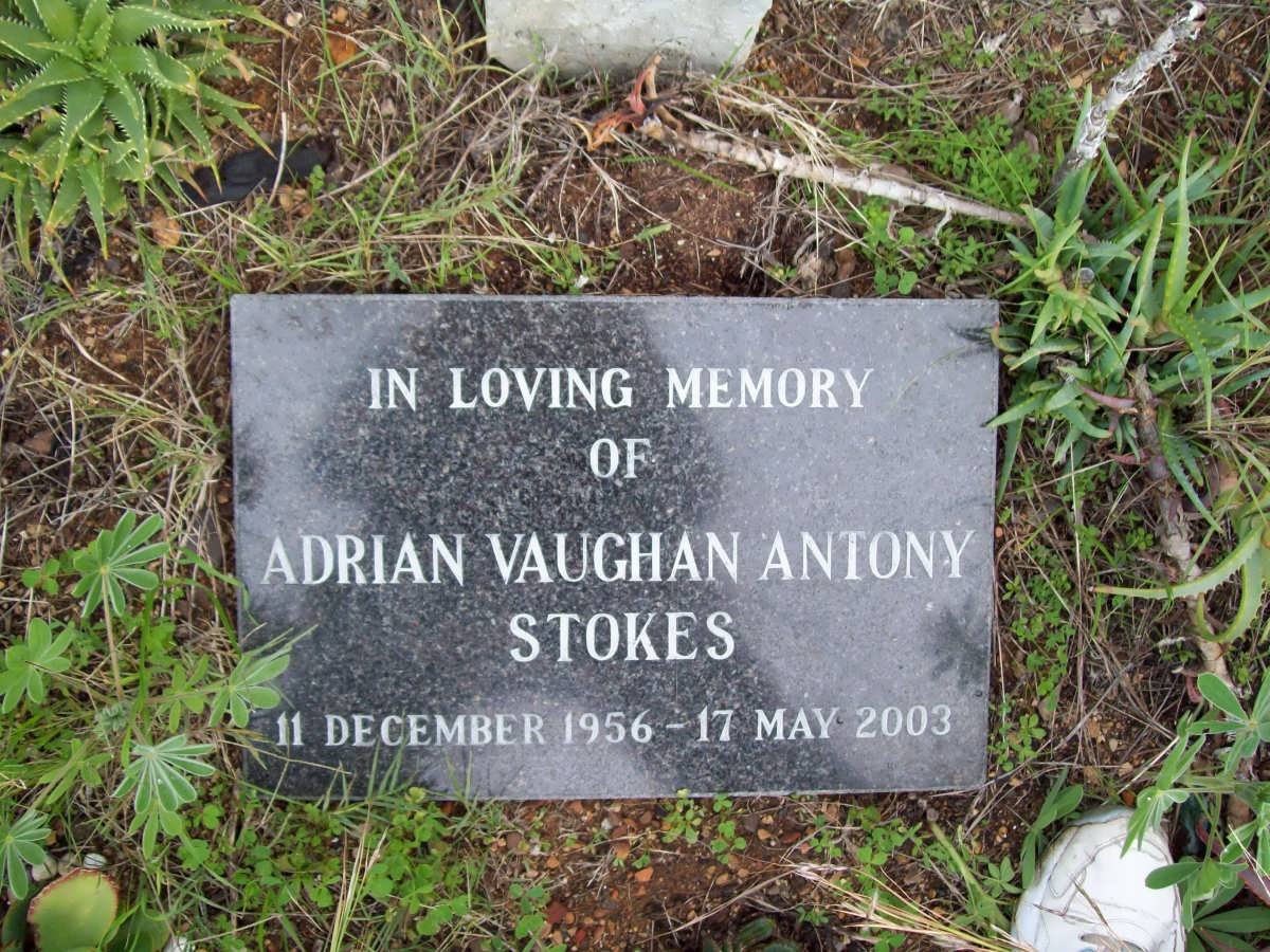 STOKES Adrian Vaughan Antony 1956-2003