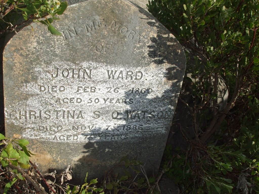 WARD John 1860 &amp; Christina S.O. WATSON -1886