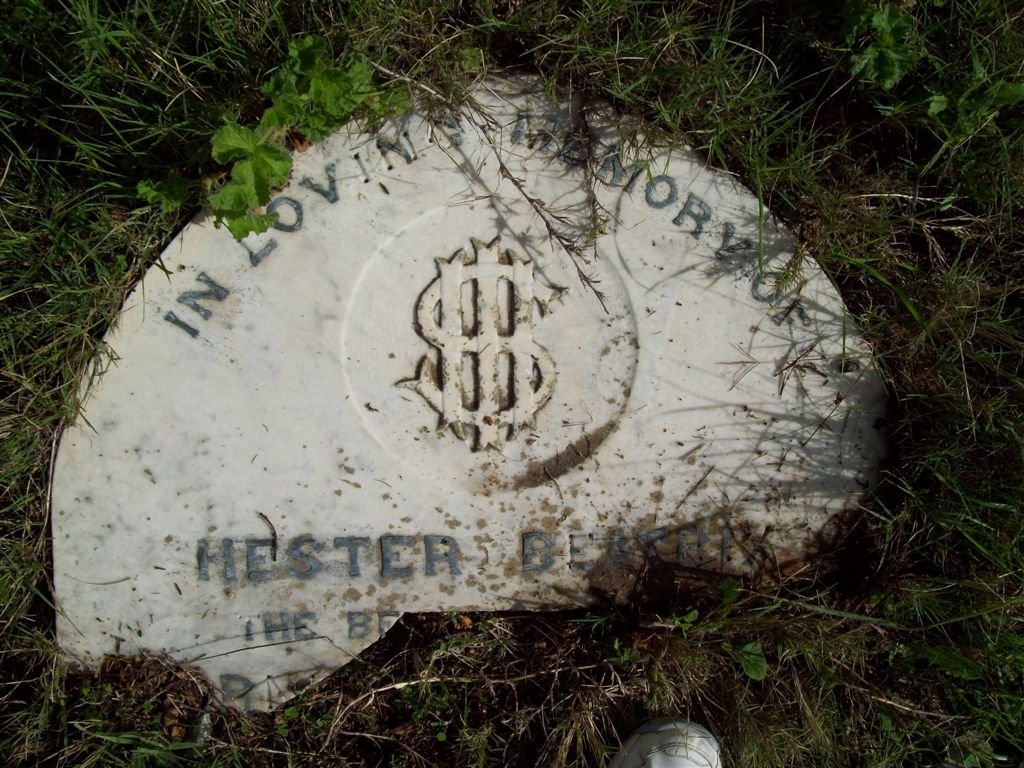 ? Hester Beatrix