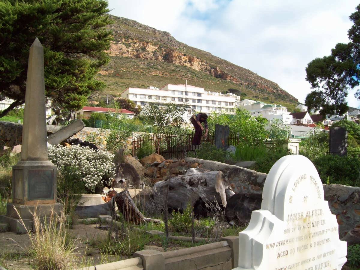 04. Overview
