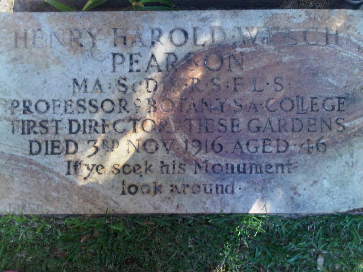 PEARSON Henry Harold Welch -1916
