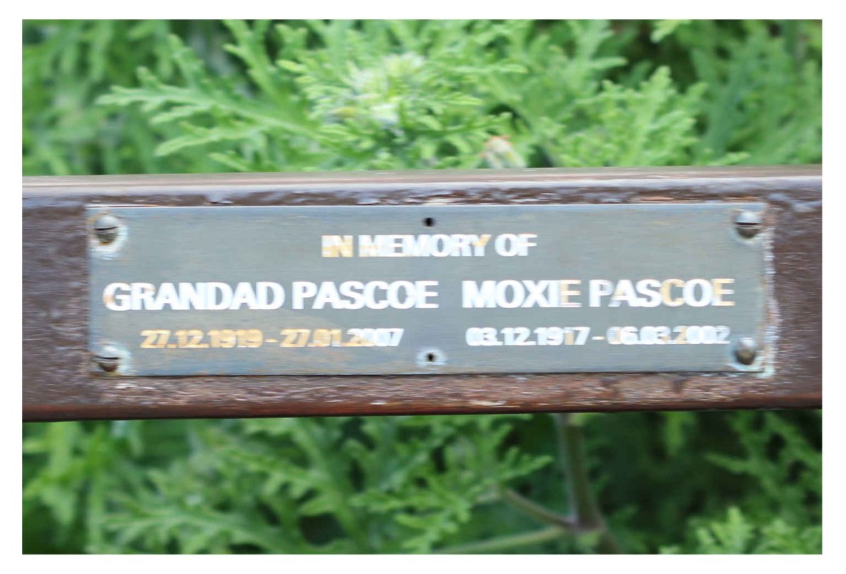PASCOE ? 1919-2007 & Moxie 1917-2002