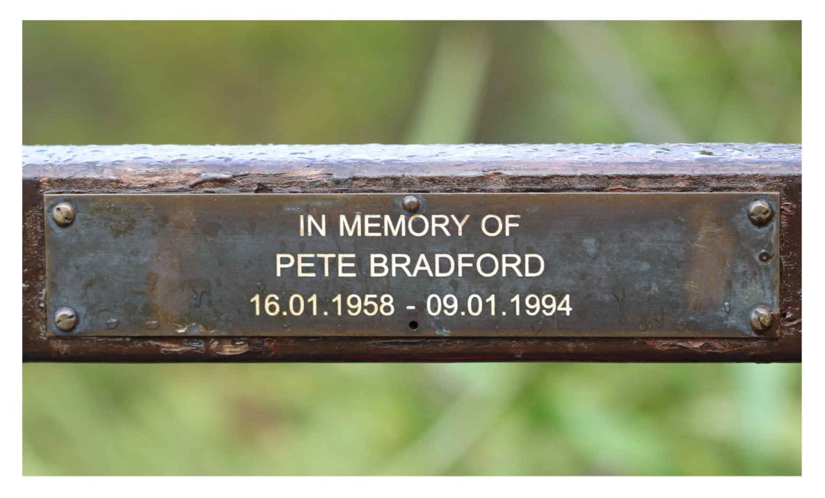 BRADFORD Pete 1958-1994
