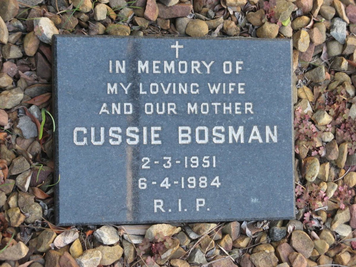 BOSMAN Gussie 1951-1984