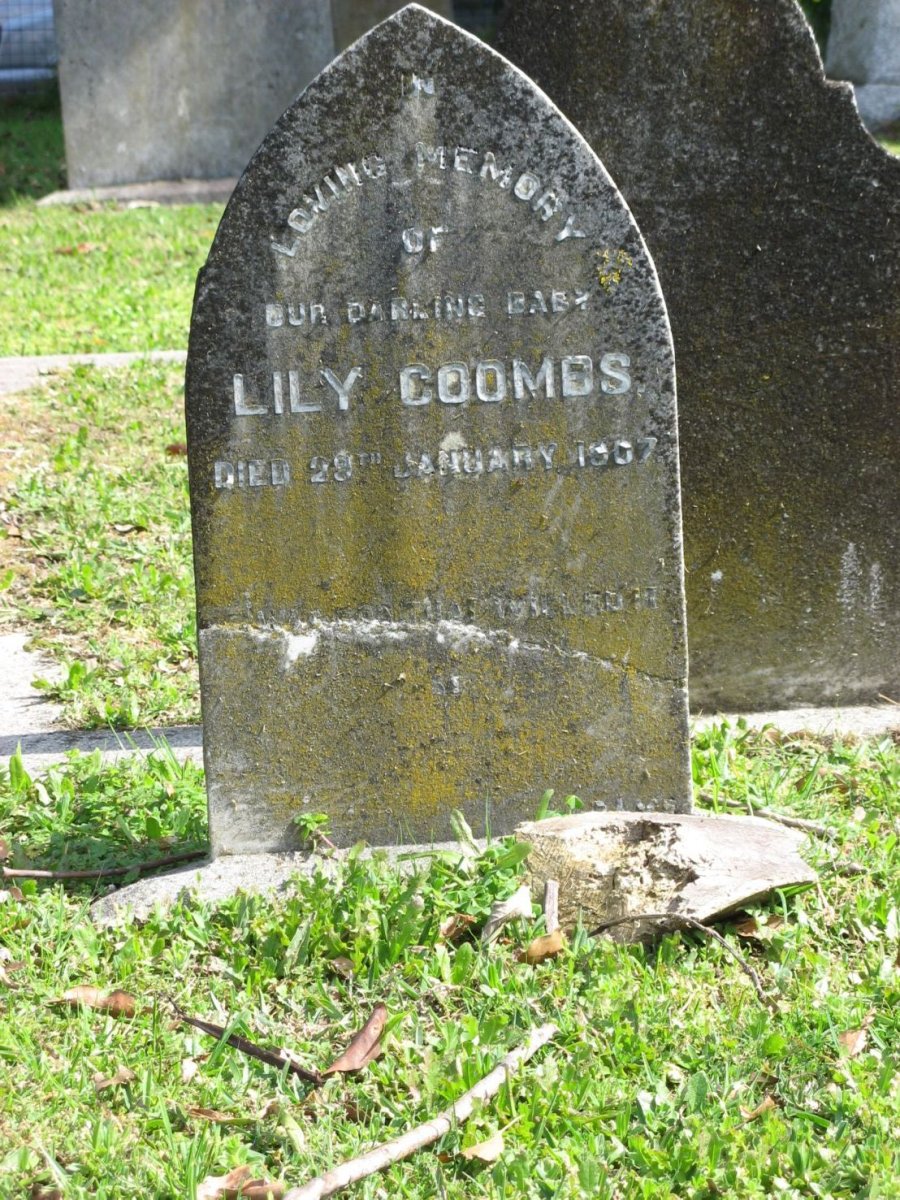 COOMBS Lily -1907