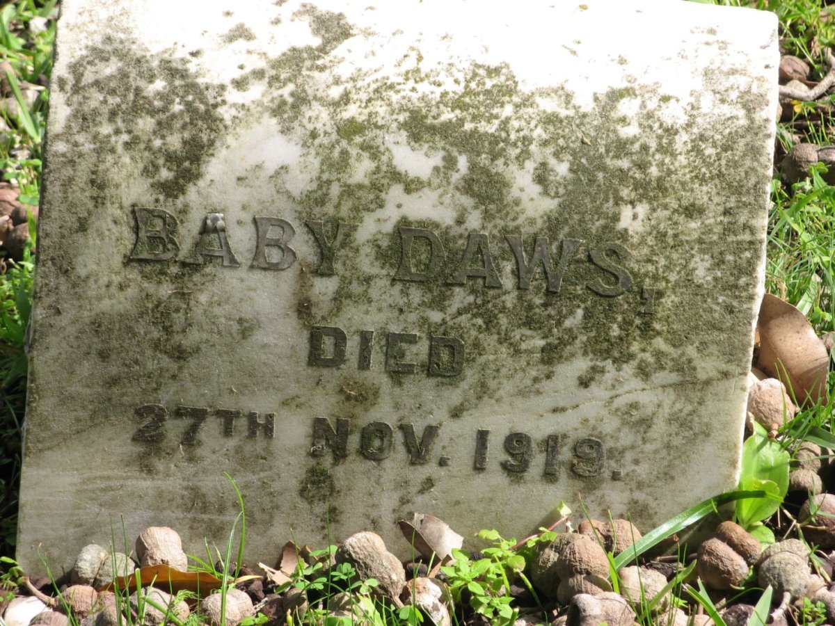 DAWS -1919