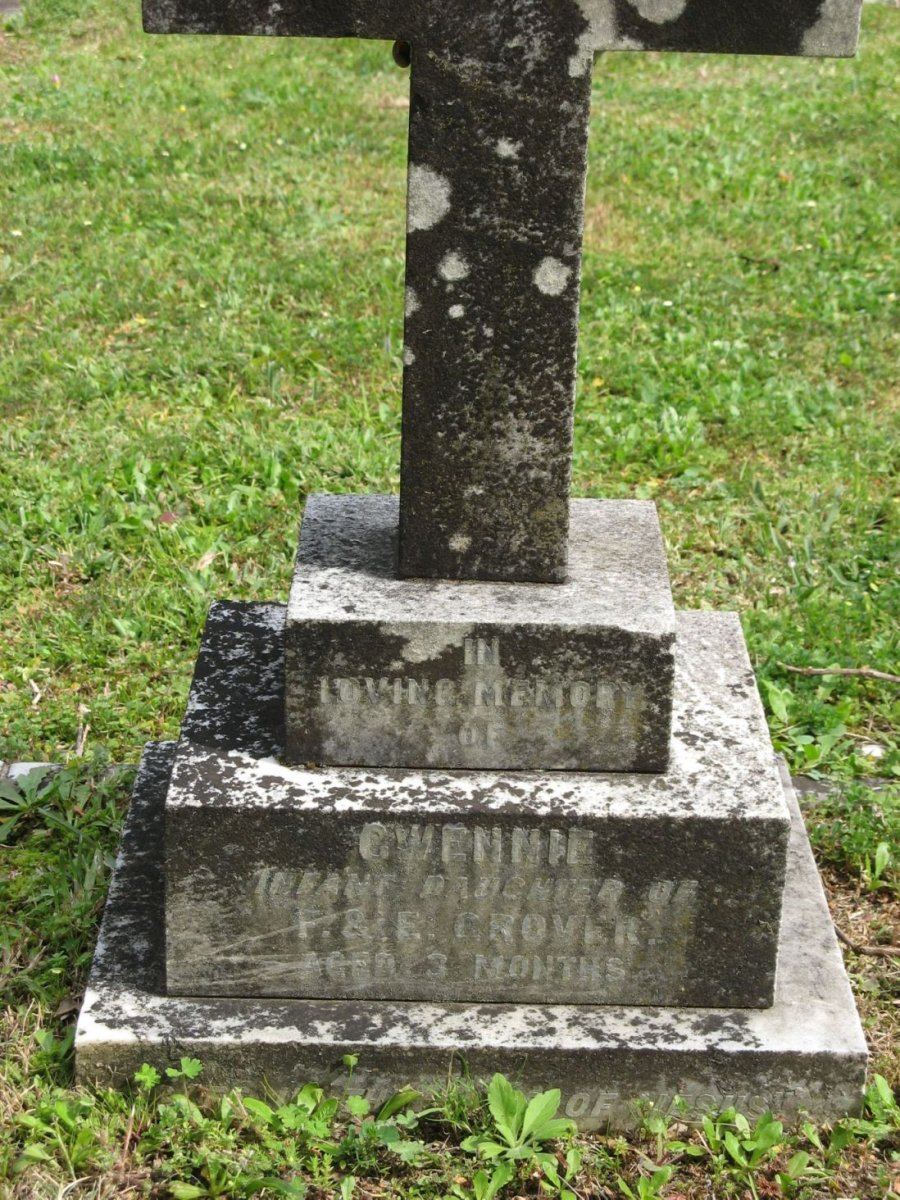 GROVER Gwennie