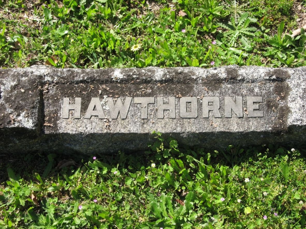 HAWTHORNE