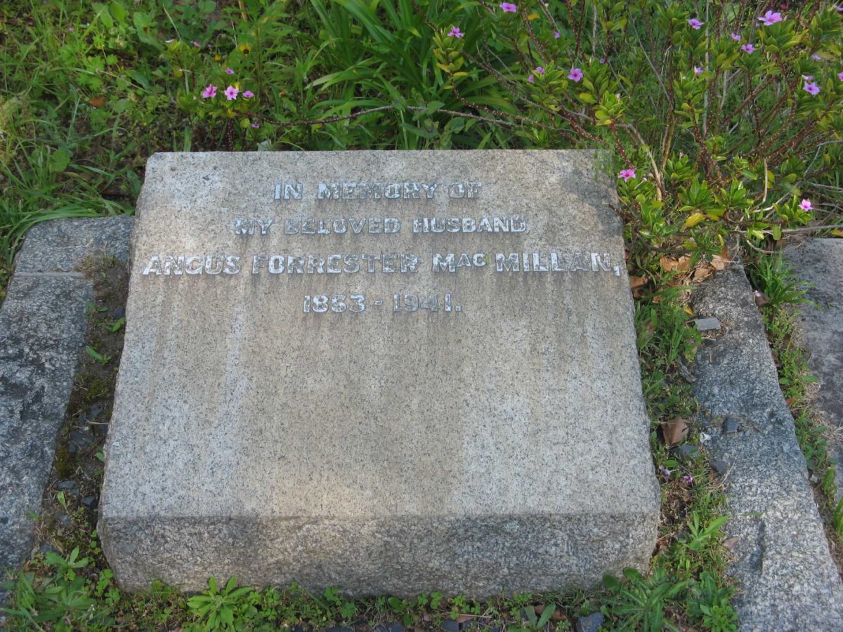 MacMILLAN Angus Forrester 1863-1941
