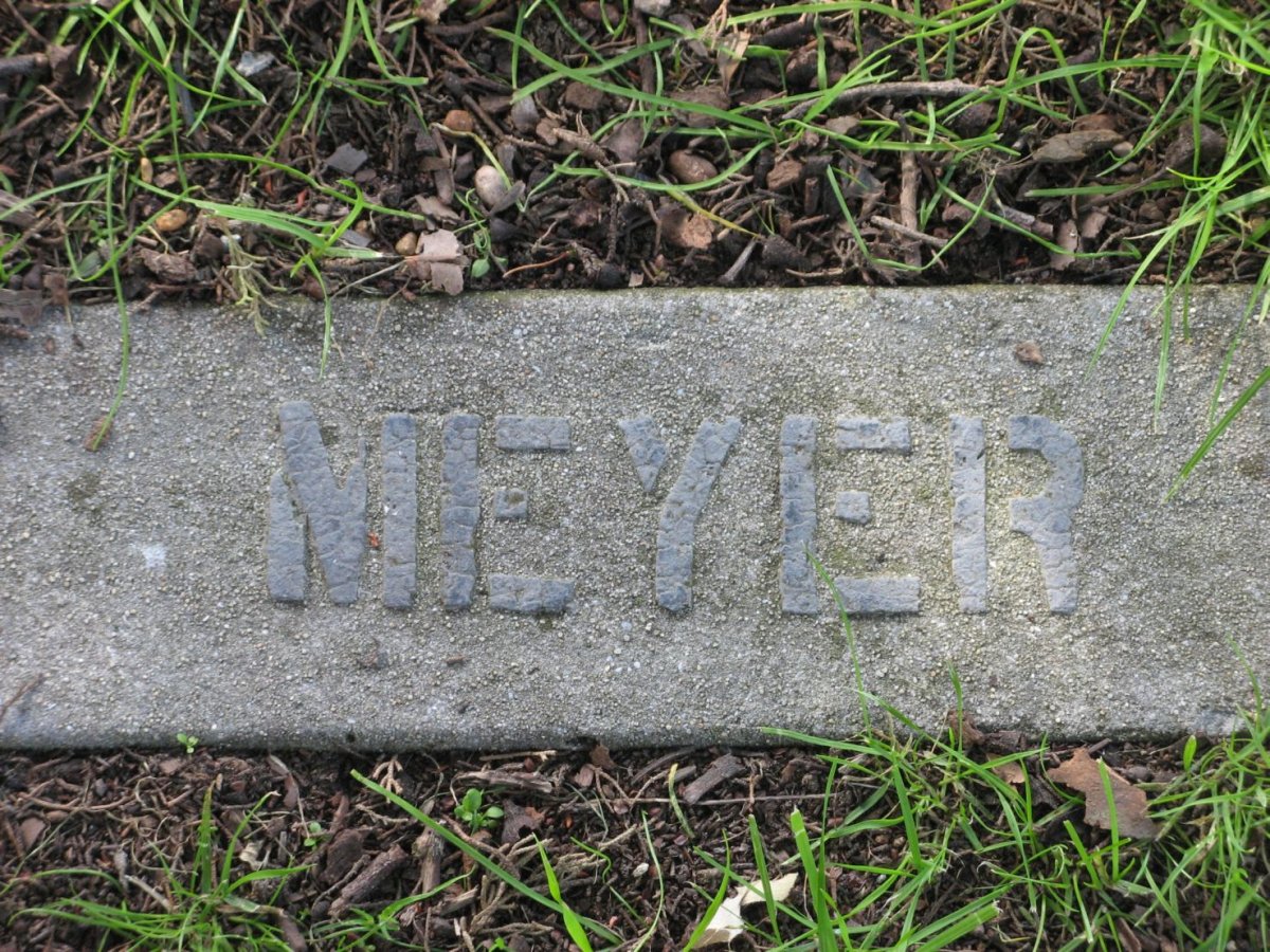 MEYER