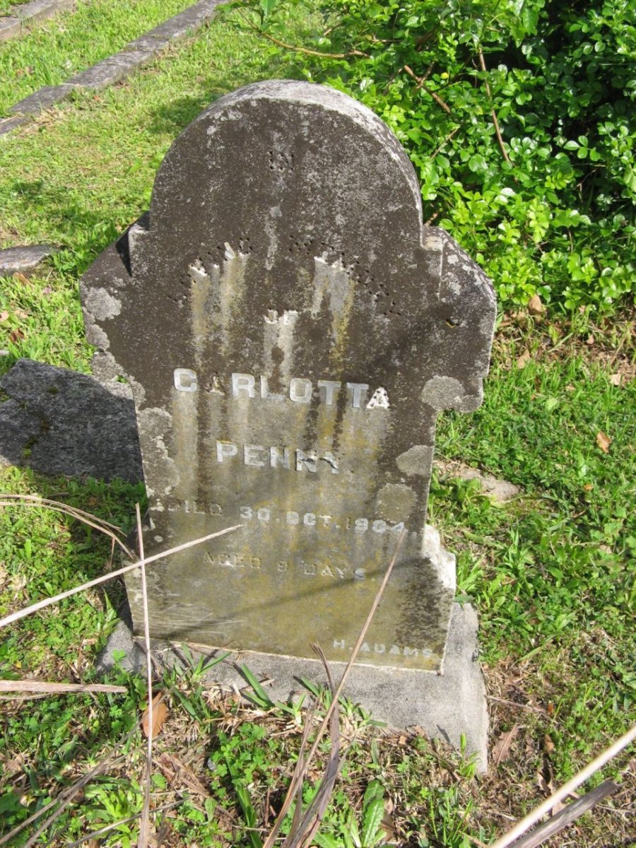 PENNY Carlotta -1904