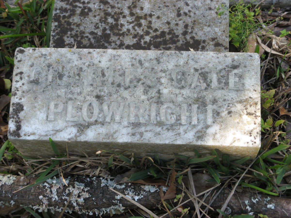 PLOWRIGHT Charles Gale