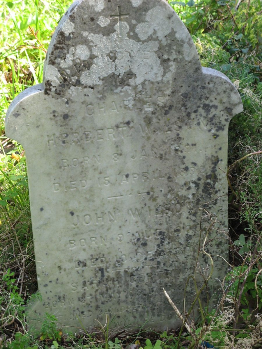 WILSON Charles Herbert 1891-1892 :: WILSON John -190? :: WILSON Sarah Gertrude