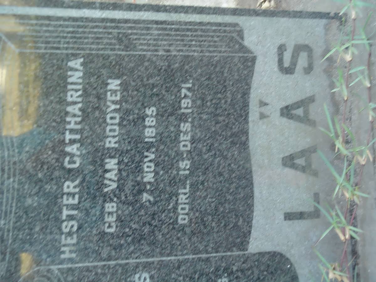LAAS Daniel Jacobus 1880-1946 &amp; Hester Catharina VAN ROOYEN 1885-1971