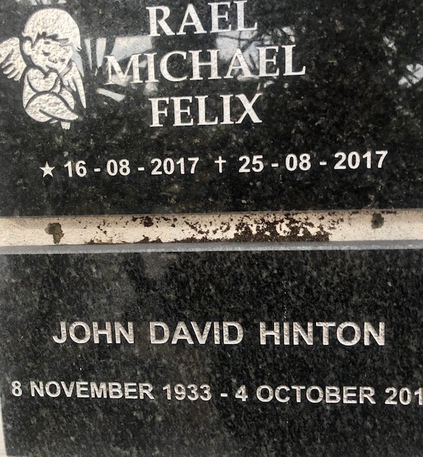 RAEL Michael Felix 2017-2017 :: HINTON John David 1933-201?