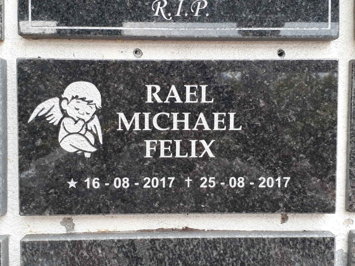 FELIX Rael Michael 2017-2017