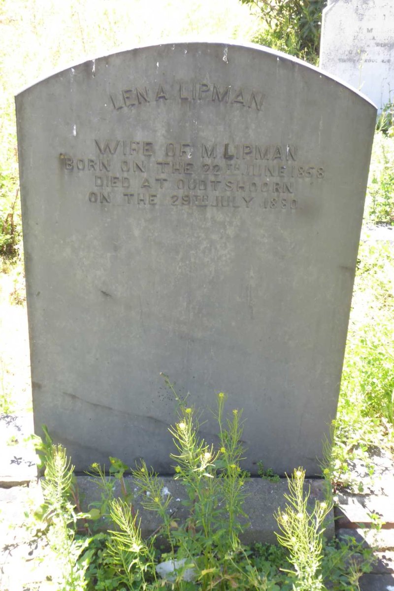 LIPMAN Lena 1858-1880