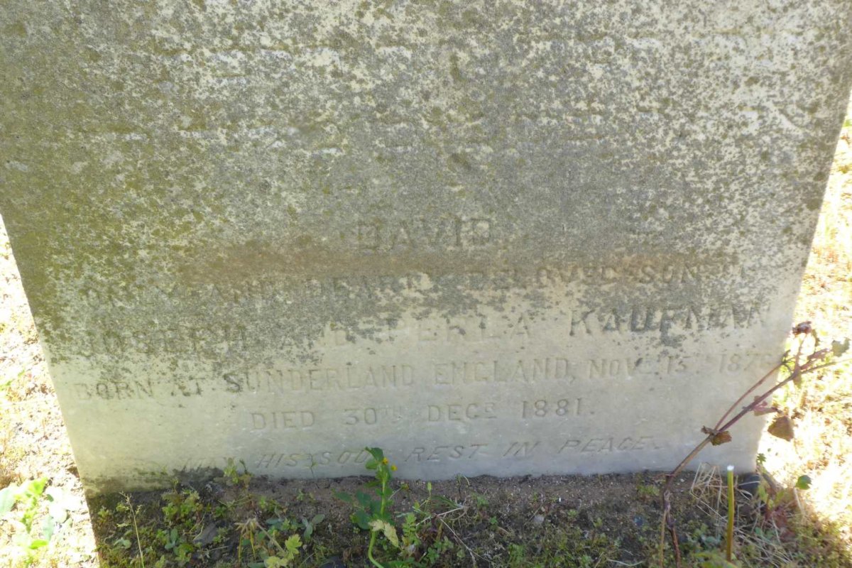 KAUFMAN David 1876-1881