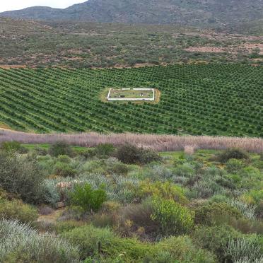 Western Cape, CLANWILLIAM district, Kransvlei 205, Kransvlei, farm cemetery