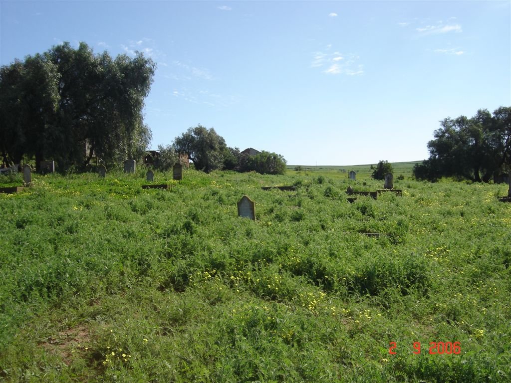 1. Overview