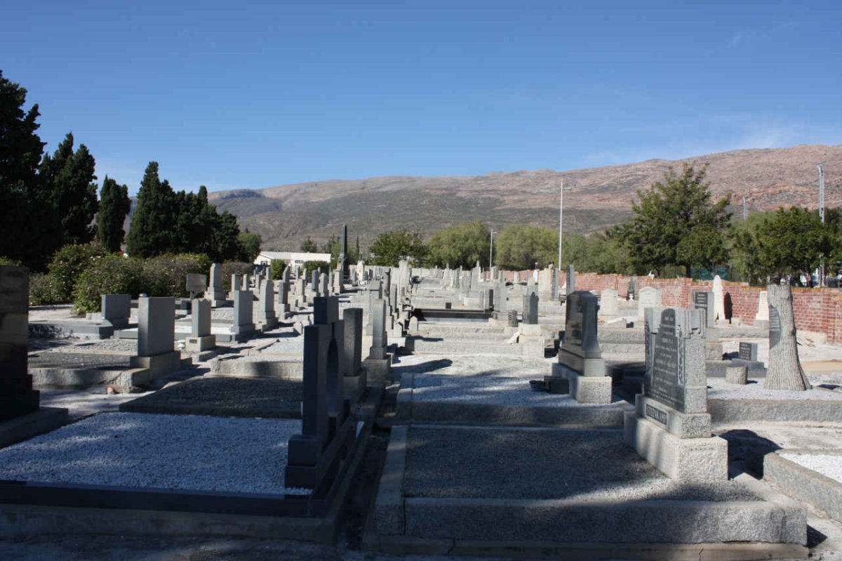 3. Overview