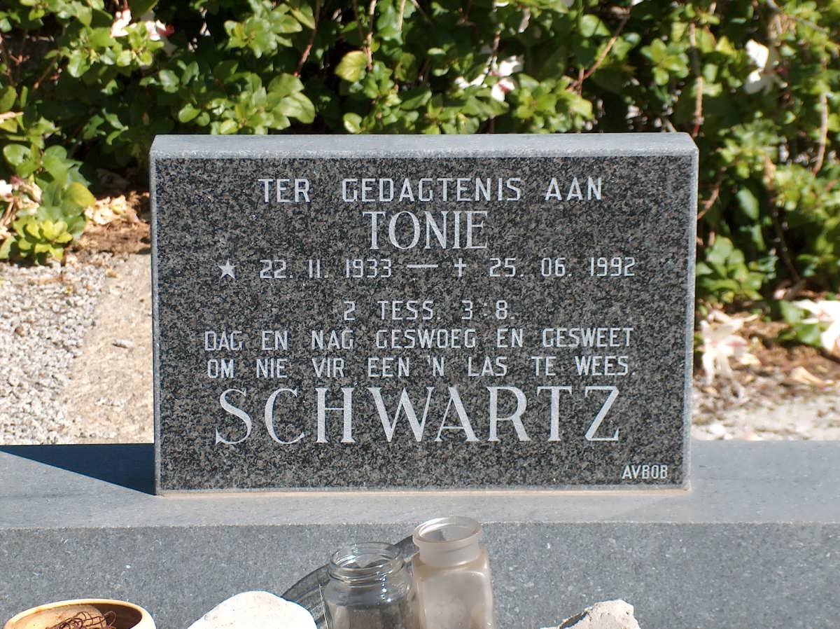SCHWARTZ Tonie 1933-1992