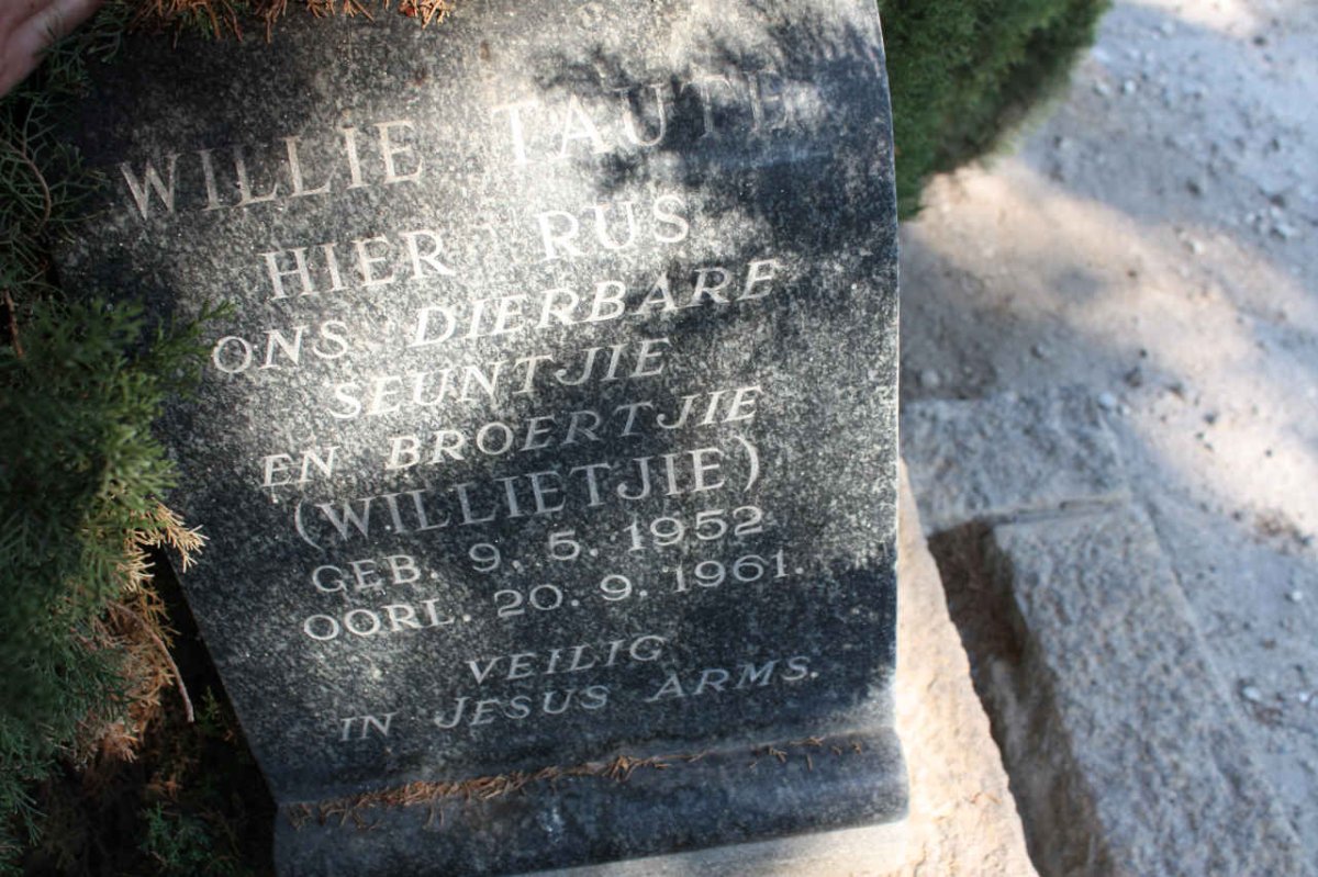 TAUTE Willie 1952-1961