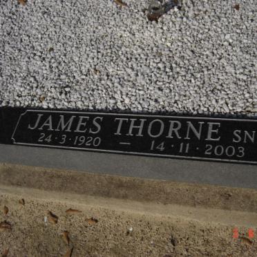 THORNE Grafte
