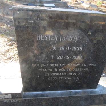? Christiaan J. 1944-1978 &amp; Hester 1935-1988