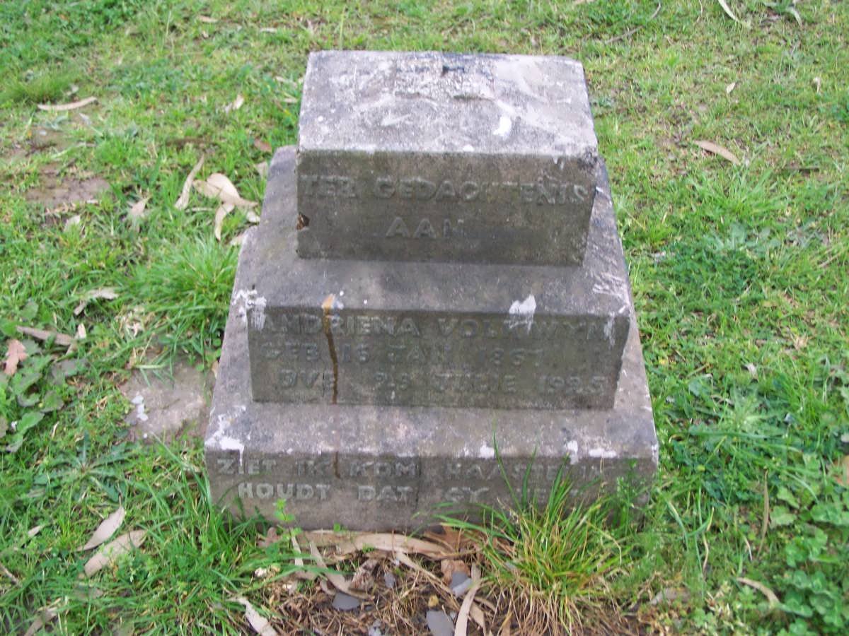 VOLKWYN Andriena 1867-1925