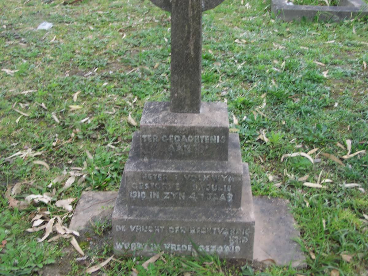 VOLKWYN Peter I. -1910