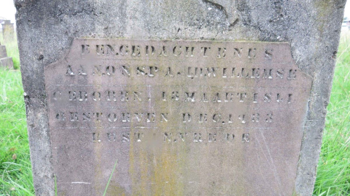 WILLEMSE ? 1861-1933