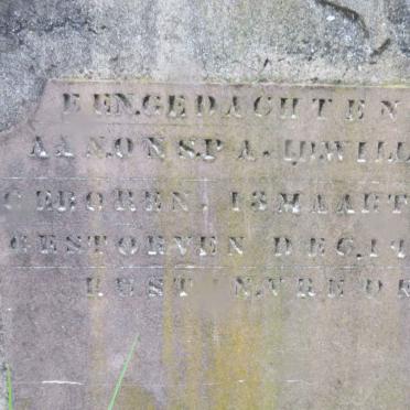 WILLEMSE ? 1861-1933
