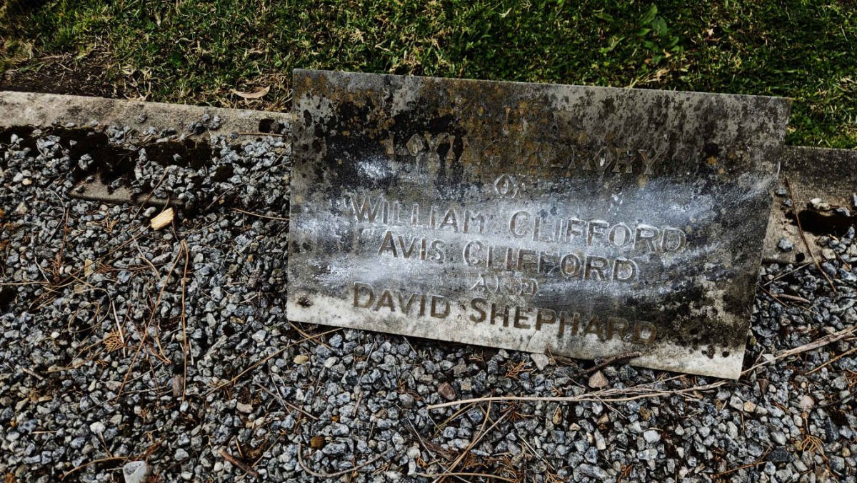 CLIFFORD William :: CLIFFORD Avis :: SHEPHARD David