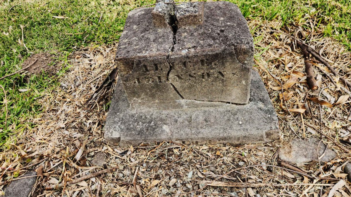 JOHNSON Alice