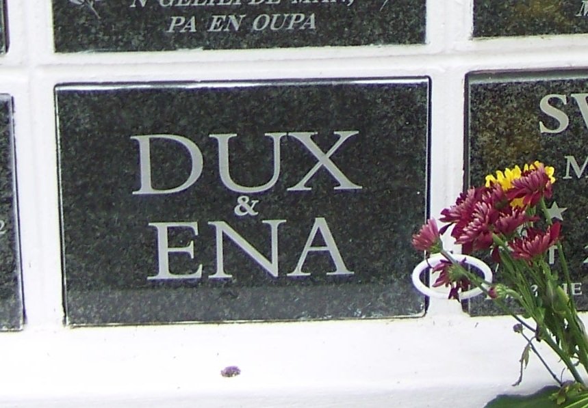? Dux &amp; Ena