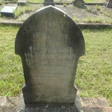 SWEMMER 1803-1895