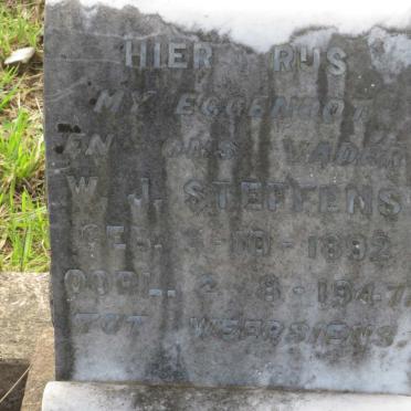 STEFFENS W.J. 1892-1947