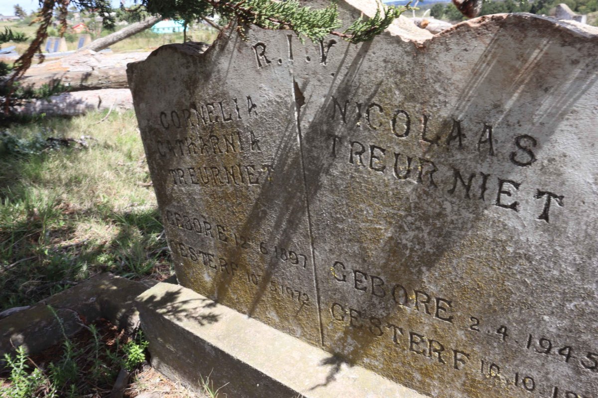 TREURNIET Cornelia Catharina 1897-1972 :: TREURNIET Nicolaas 1945-1970 _1