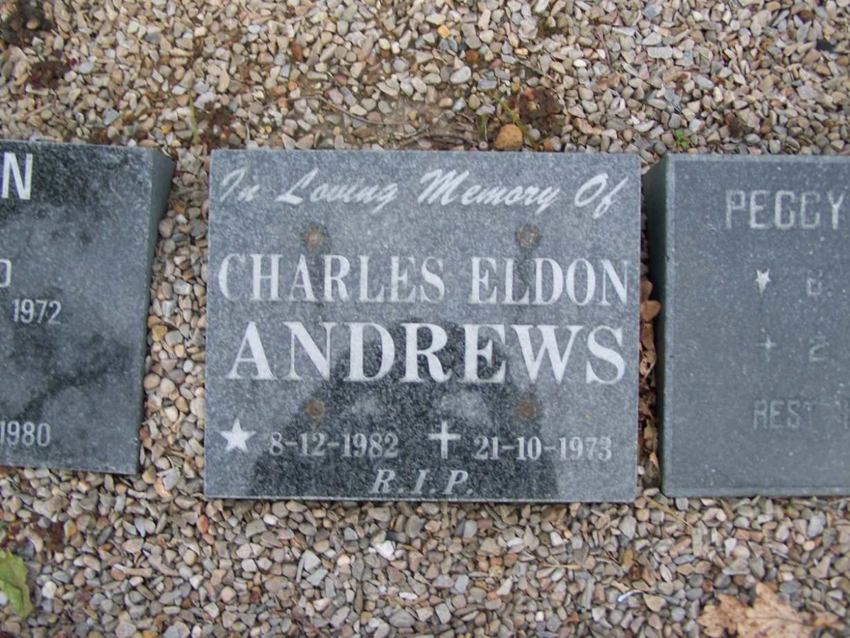 ANDREWS Charles Eldon 1982-1973