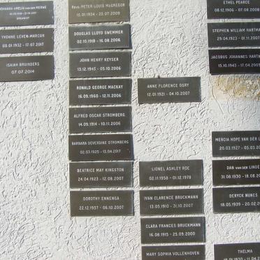 Plaques 7